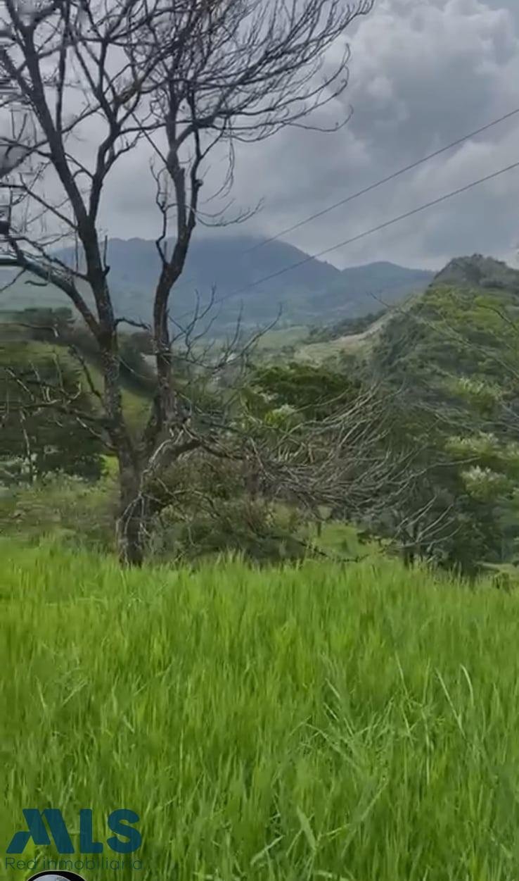 Land in Amagá, Amagá, Colombia 5 - 16208293