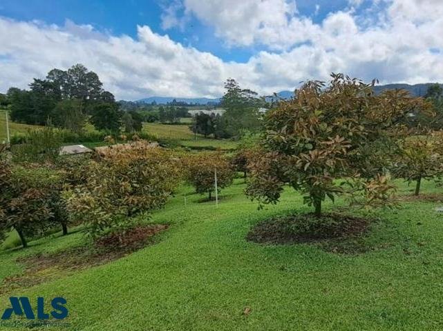 House in Rionegro, Antioquia, Colombia 5 - 16208771