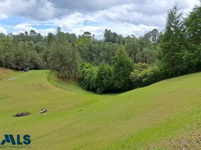 Land in Rionegro, Antioquia, Colombia 1 - 16208635