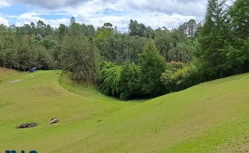 Terreno en Rionegro, Antioquia, Colombia 1