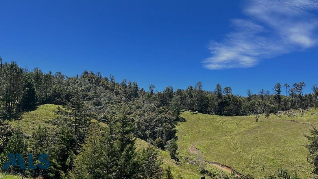 Land in El Retiro, Retiro, Colombia 1 - 16208809