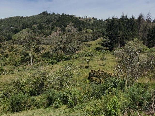 Land in Rionegro, Rionegro, Colombia 5 - 16208664