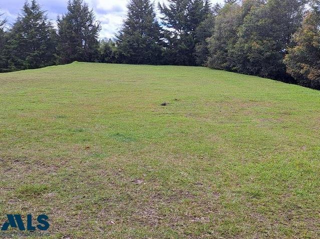 Land in Rionegro, Antioquia, Colombia 2 - 16208635