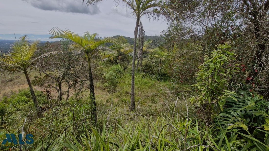 Land in Don Diego, Antioquia, Colombia 4 - 16208563