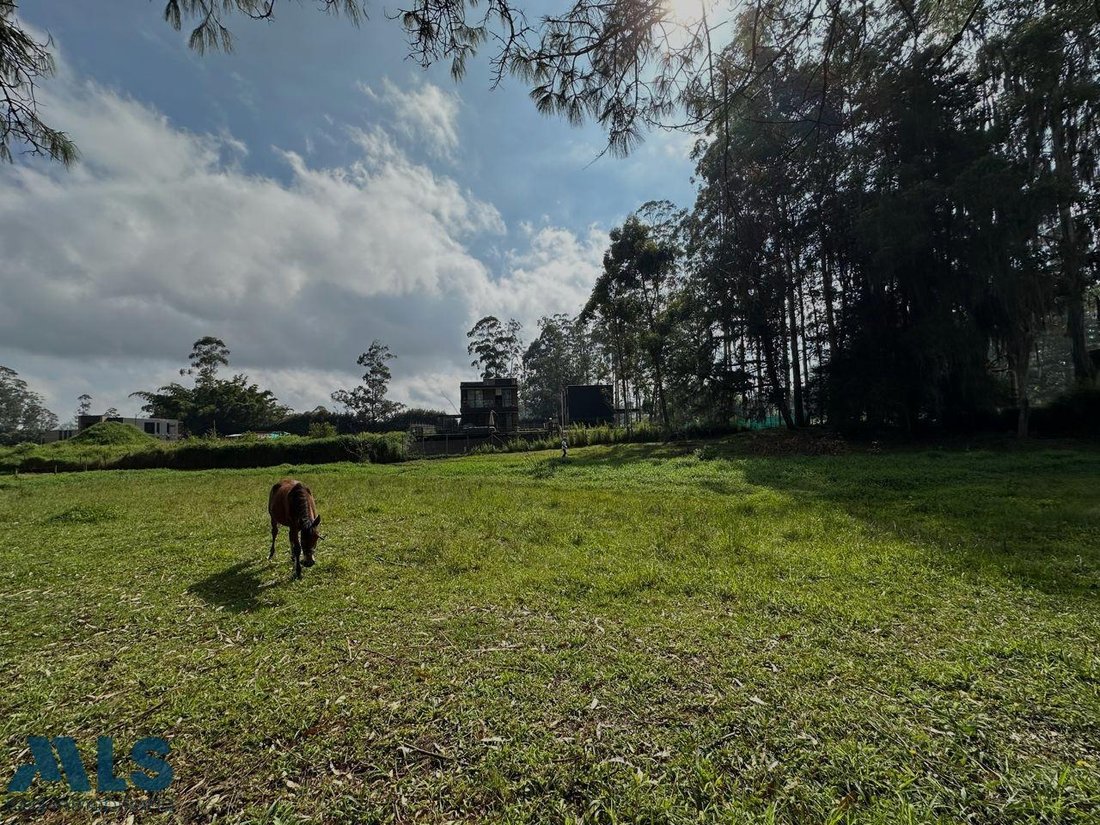 Land in Rionegro, Rionegro, Colombia 3 - 16208812
