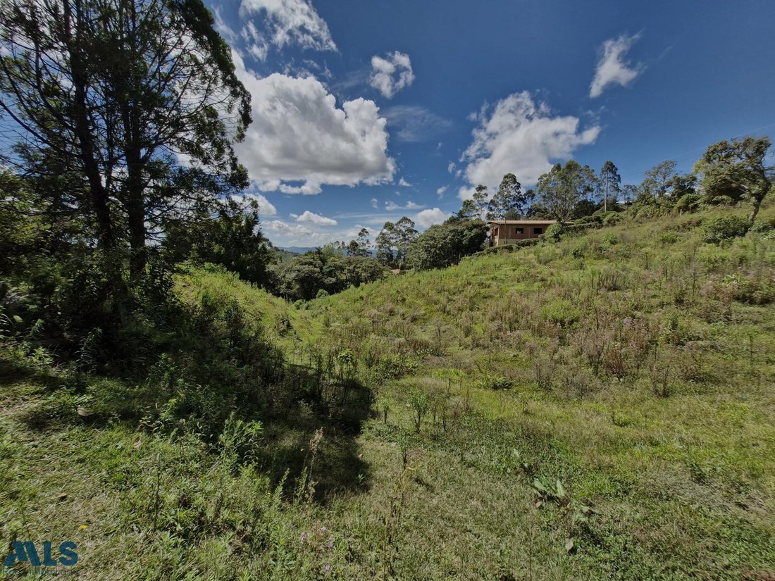 Land in Rionegro, Rionegro, Colombia 4 - 16208863
