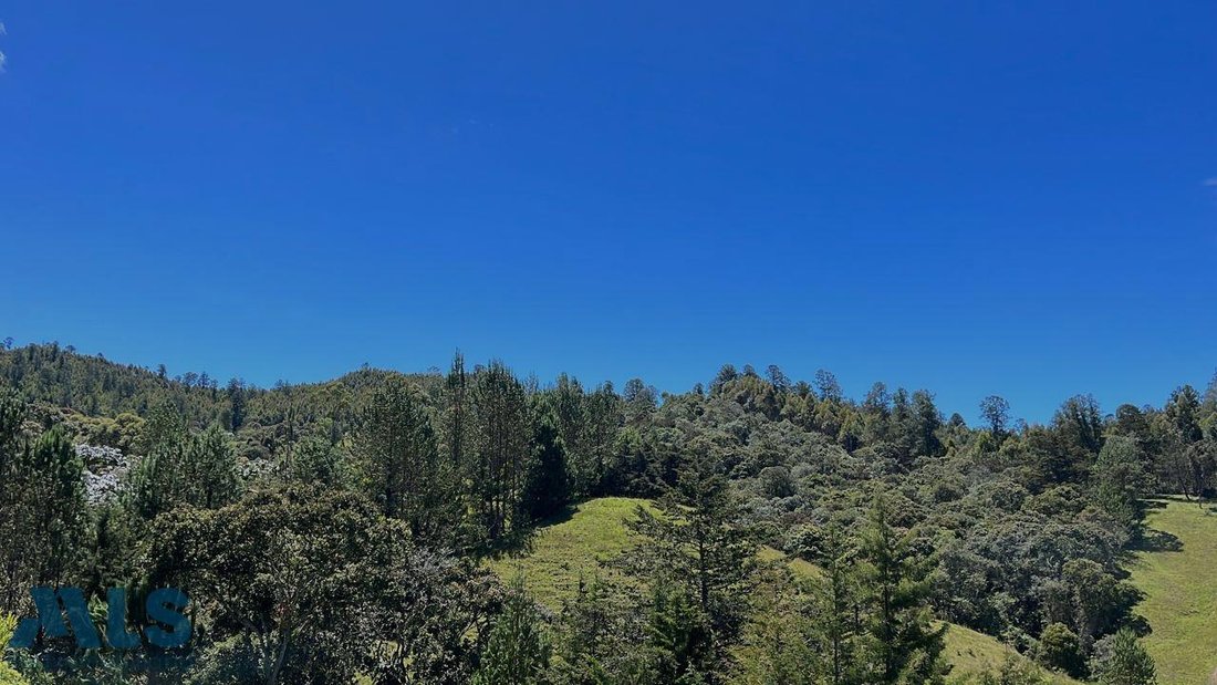 Land in El Retiro, Retiro, Colombia 4 - 16208809
