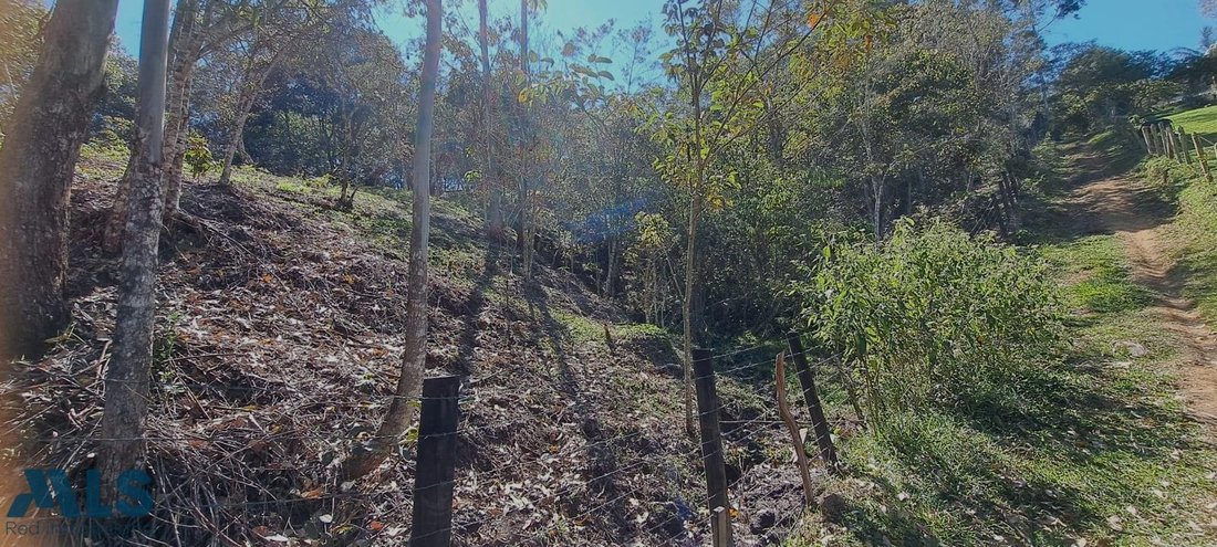 Land in Rionegro, Antioquia, Colombia 4 - 16208783
