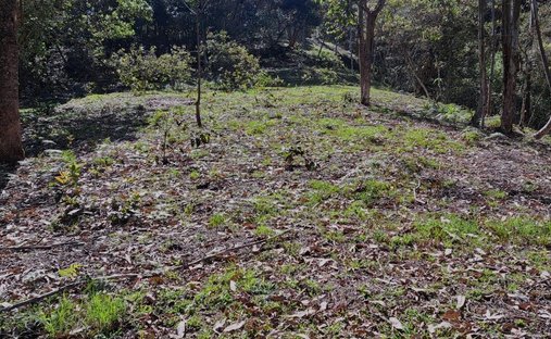 Terrain à Rionegro, Antioquia, Colombie 1