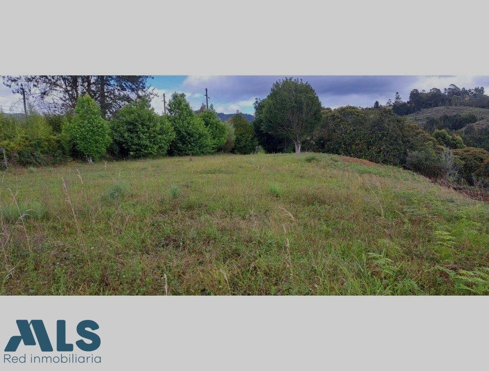 Land in Rionegro, Rionegro, Colombia 3 - 16208683
