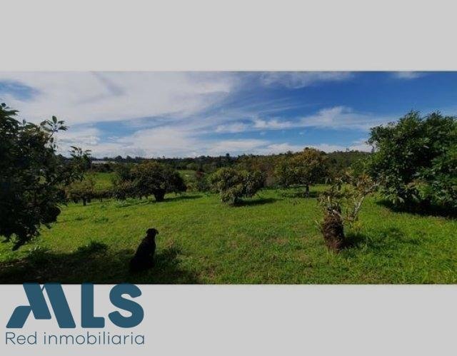 Land in El Carmen, Carmen de Viboral, Kolumbien 2 - 16208795