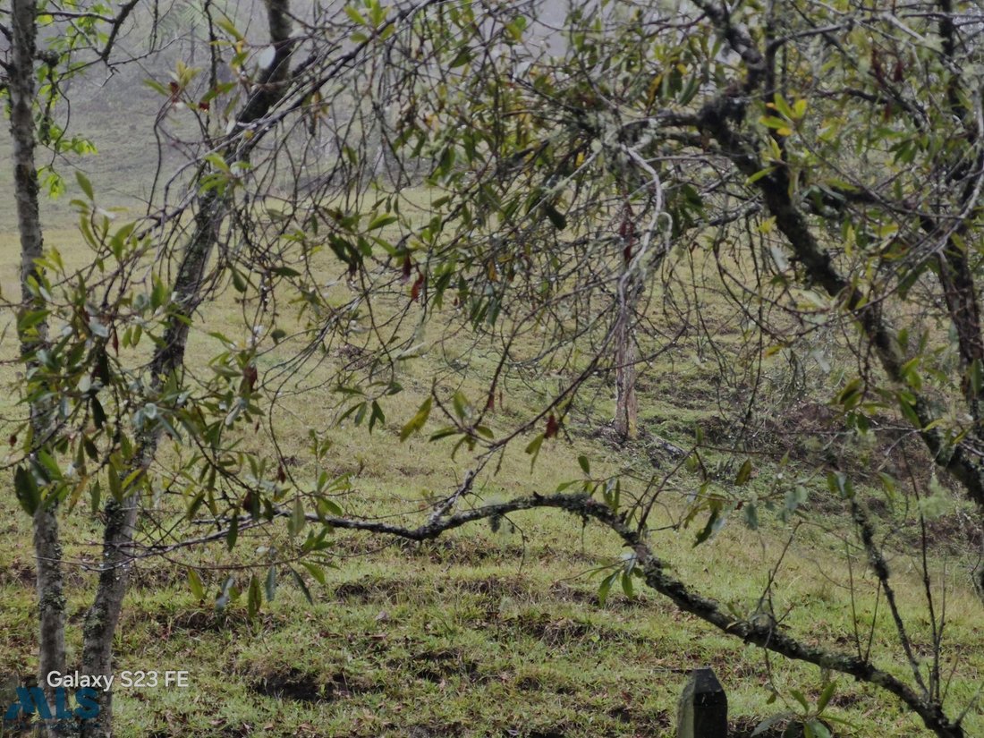Land in Rionegro, Antioquia, Colombia 5 - 16208591