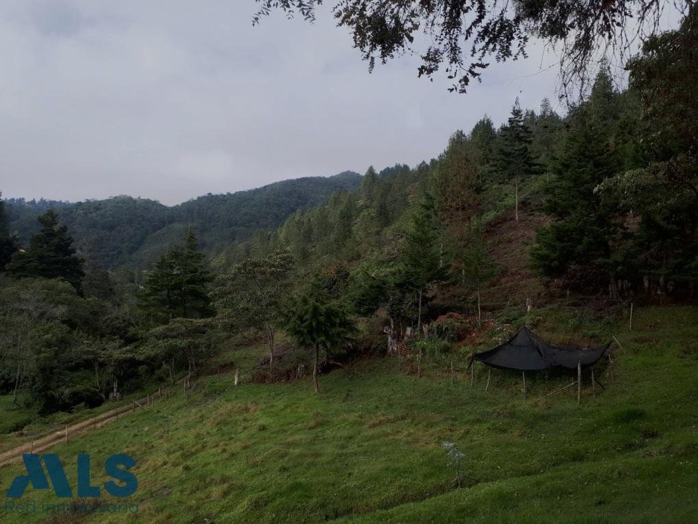 Land in El Retiro, Retiro, Colombia 2 - 16208798