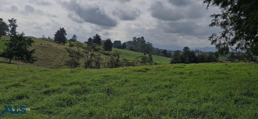 Land in Rionegro, Antioquia, Colombia 1 - 16208719