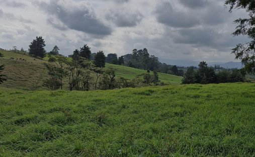 Terrain à Rionegro, Antioquia, Colombie 1