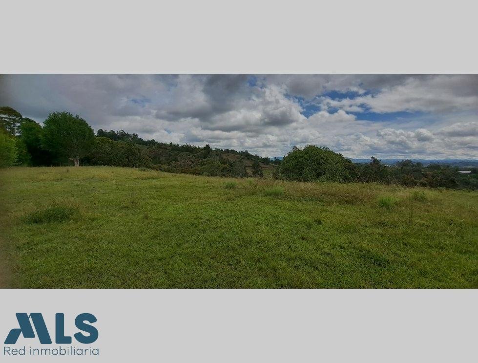 Land in Rionegro, Rionegro, Colombia 5 - 16208683