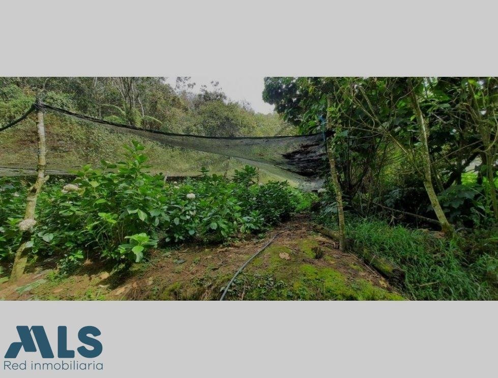 Land in El Bosque, Antioquia, Colombia 5 - 16208767