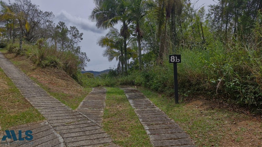 Land in Don Diego, Antioquia, Colombia 1 - 16208563