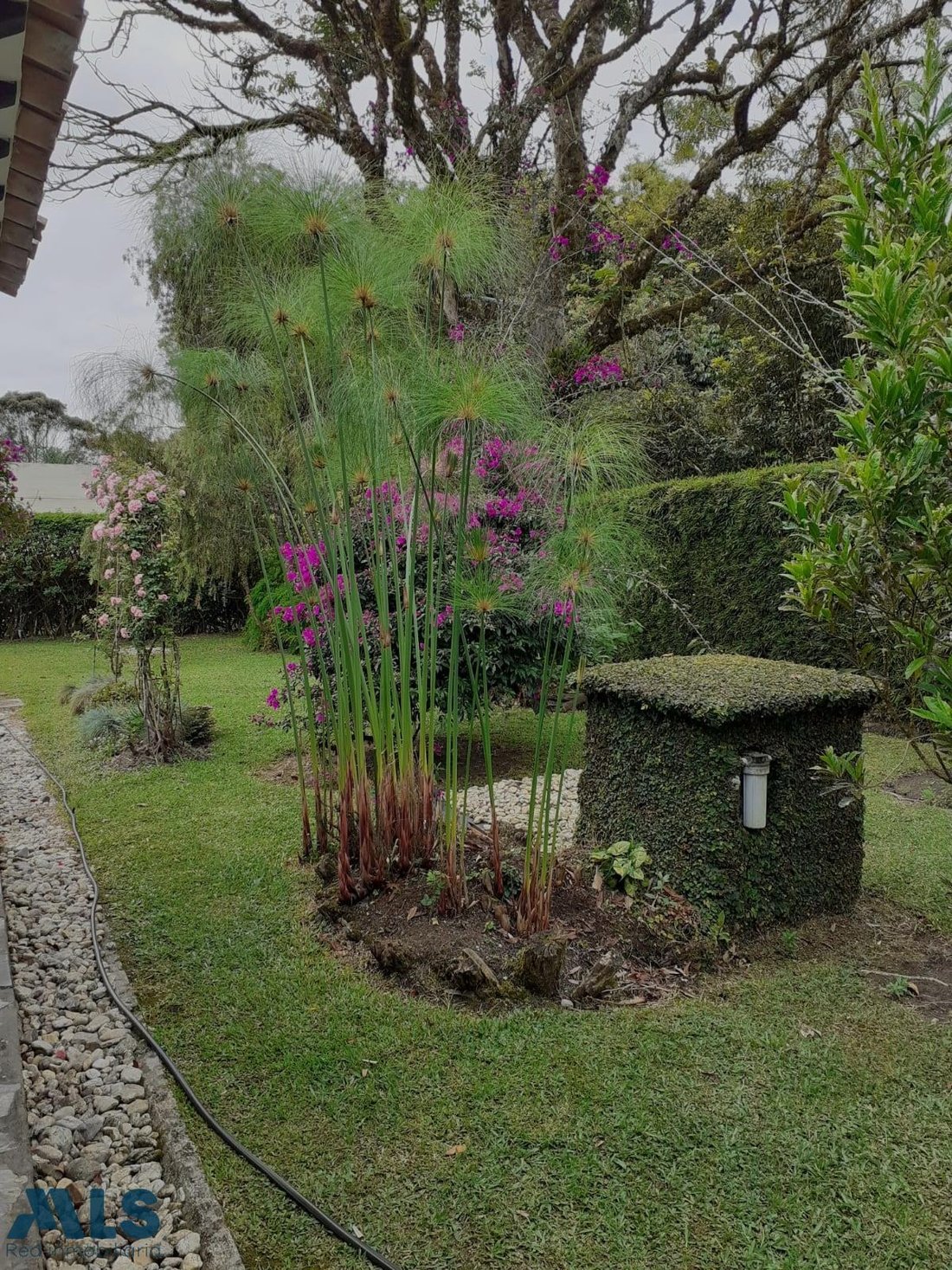 House in Candilejas, Antioquia, Colombia 5 - 16208482