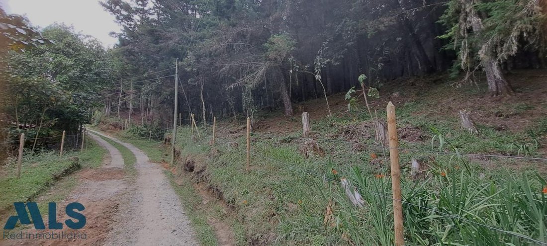 Land in Los Salados, Antioquia, Colombia 3 - 16208832