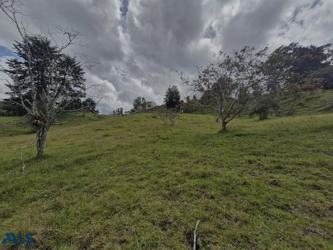 Terrain à Pozo Rubio, Antioquia, Colombie 4 - 16208579