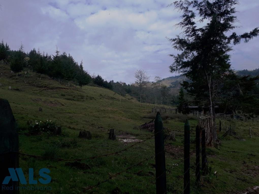 Land in El Retiro, Retiro, Colombia 1 - 16208798