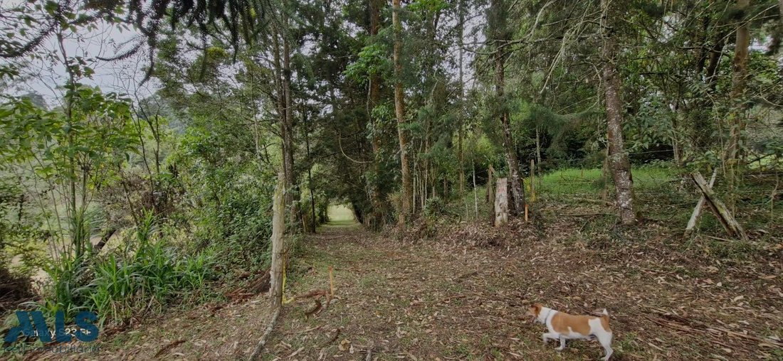 Land in Rionegro, Rionegro, Colombia 4 - 16208374