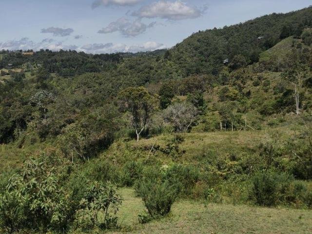 Land in Rionegro, Rionegro, Colombia 1 - 16208664