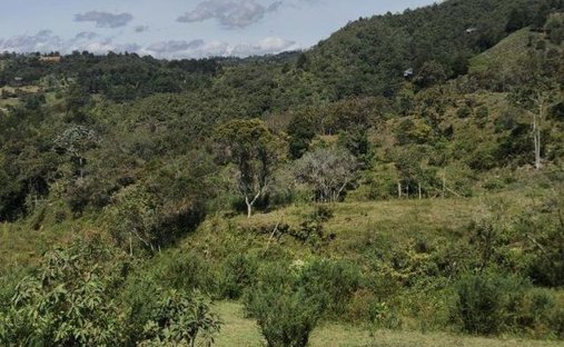 Terrain en Rionegro, Rionegro, Colombie 1