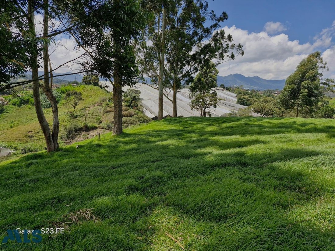 Land in El Carmen de Viboral, Antioquia, Colombia 5 - 16208848