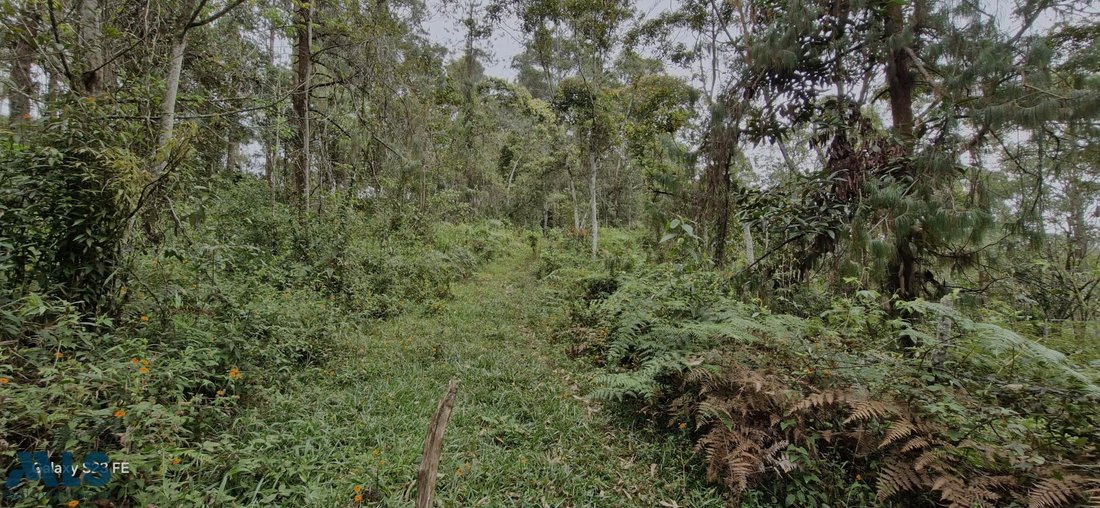 Land in Rionegro, Antioquia, Colombia 4 - 16208736