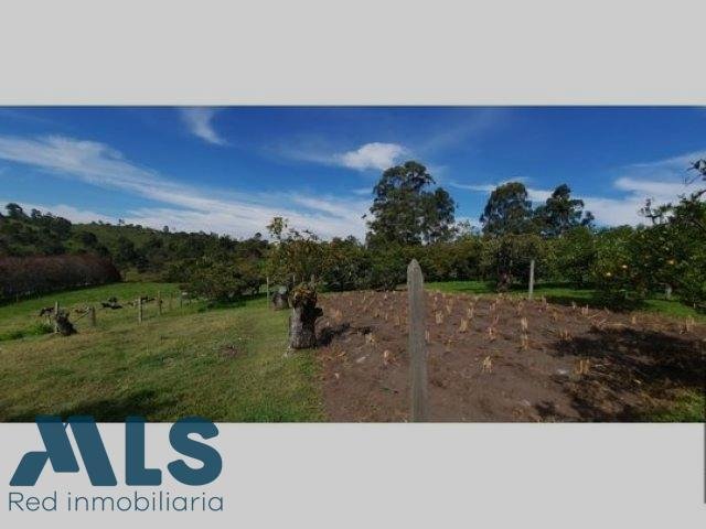 Land in El Carmen, Carmen de Viboral, Kolumbien 4 - 16208795