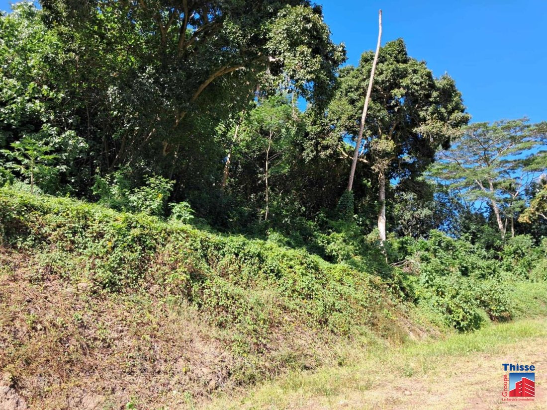 Land in Moorea-Maiao, Windward Islands, French Polynesia 1 - 16217652