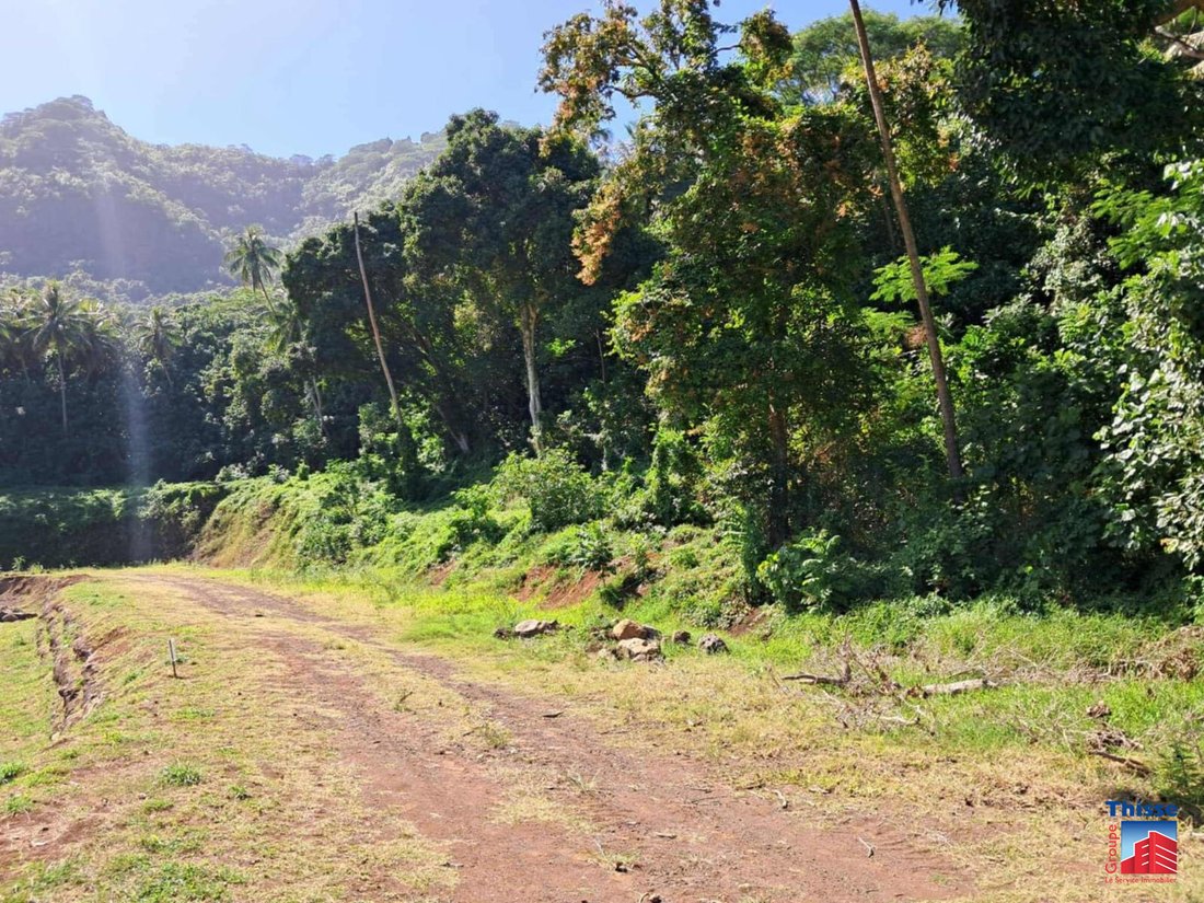Land in Moorea-Maiao, Windward Islands, French Polynesia 2 - 16217652