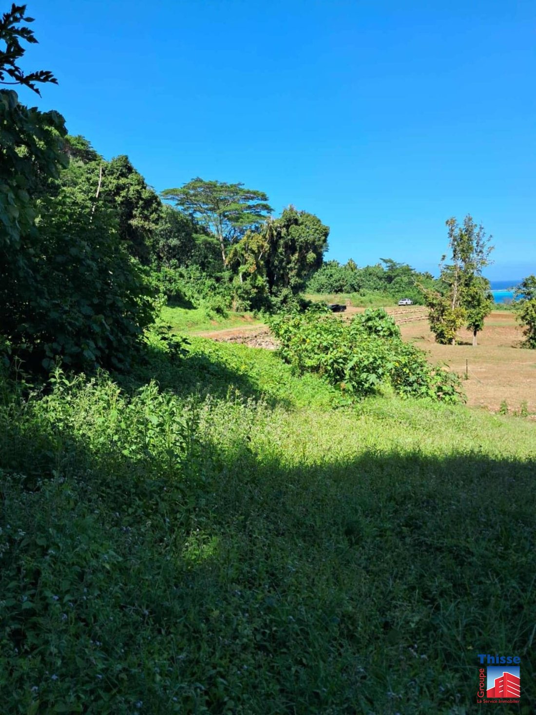 Land in Moorea-Maiao, Windward Islands, French Polynesia 4 - 16217652