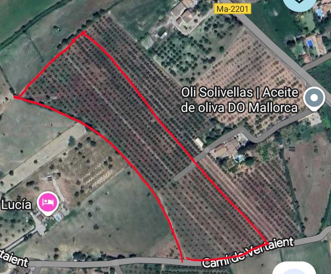 Land in Alcudia, Balearic Islands, Spain 4 - 16209996