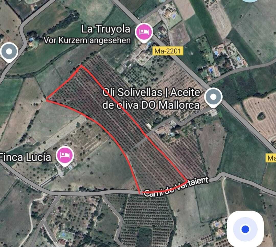 Land in Alcudia, Balearic Islands, Spain 2 - 16209996