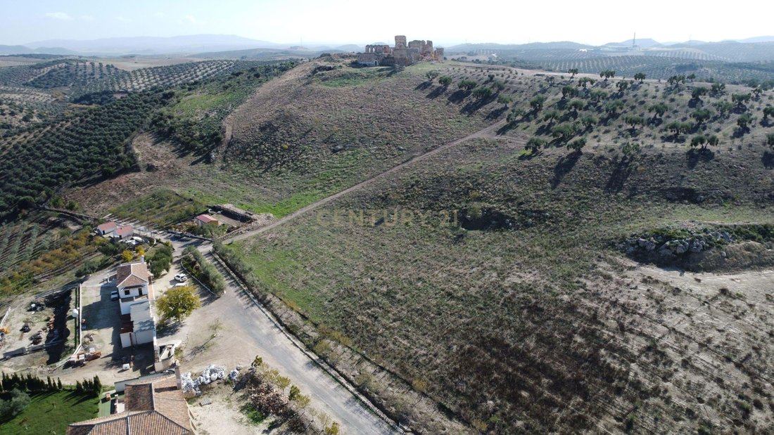 Villa in Osuna, Andalusia, Spain 3 - 14990151