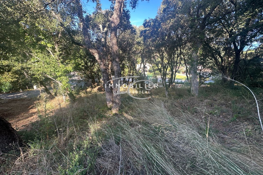 Land in La Croix-Valmer, Provence-Alpes-Côte d'Azur, France 1 - 16209899