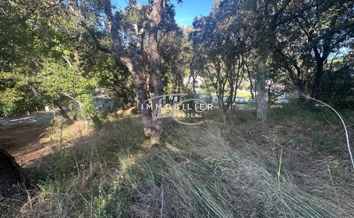 Land in La Croix-Valmer, Provence-Alpes-Côte d'Azur, France 1