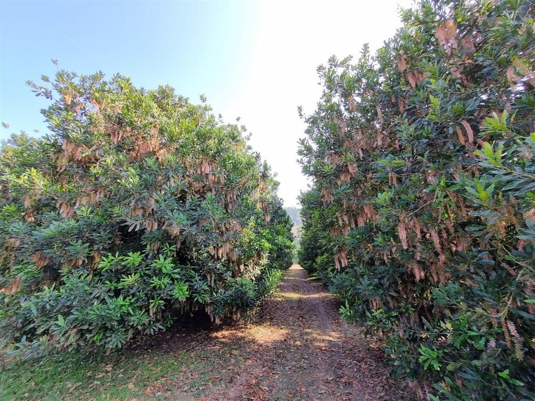 Farm Ranch in Mbombela, Mpumalanga, South Africa 2 - 16219105