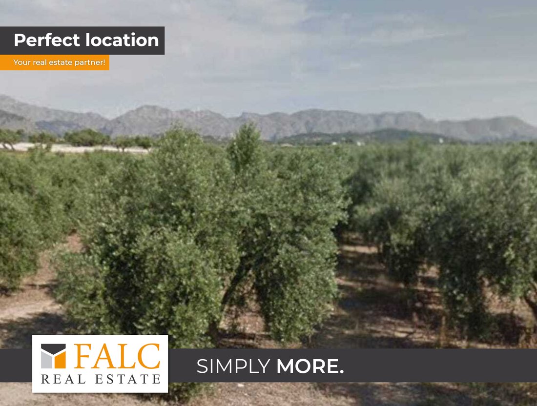 Land in Alcudia, Balearic Islands, Spain 1 - 16209996