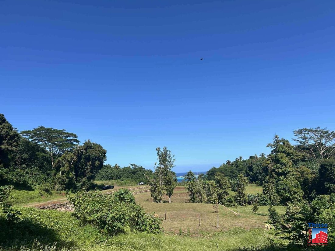 Land in Moorea-Maiao, Windward Islands, French Polynesia 5 - 16217652