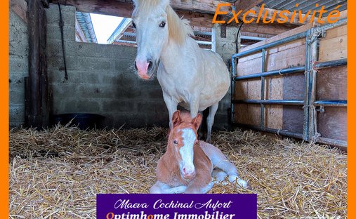 Castle for Sale in Breteuil, Normandy, France