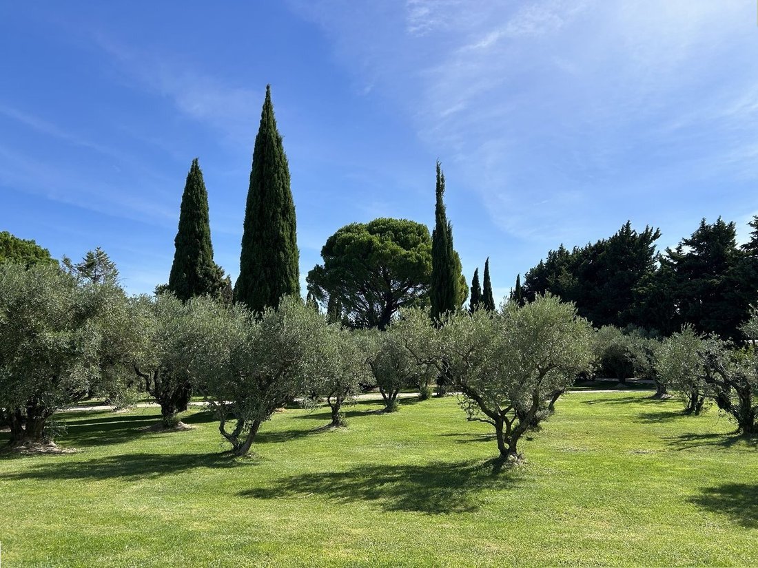 House in Rognonas, Provence-Alpes-Côte d'Azur, France 4 - 16209691