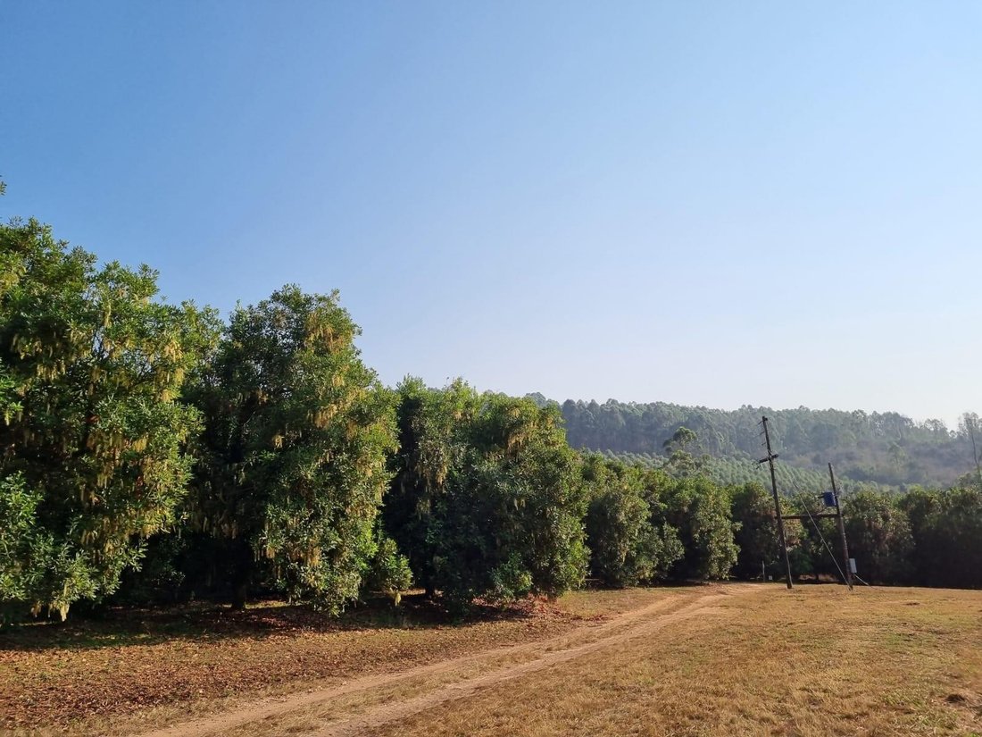 Farm Ranch in Mbombela, Mpumalanga, South Africa 5 - 16219105