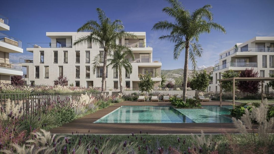 Apartment in Benicassim, Valencian Community, Spain 4 - 16216920