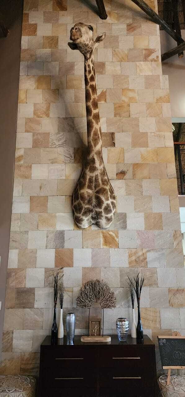 Farm Ranch in Vanderbijlpark, Gauteng, South Africa 3 - 16210433