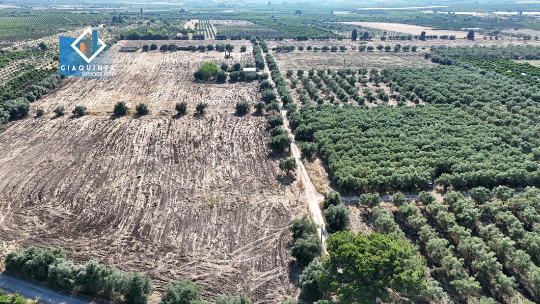 Land in Mineo, Sicily, Italy 1 - 16219291