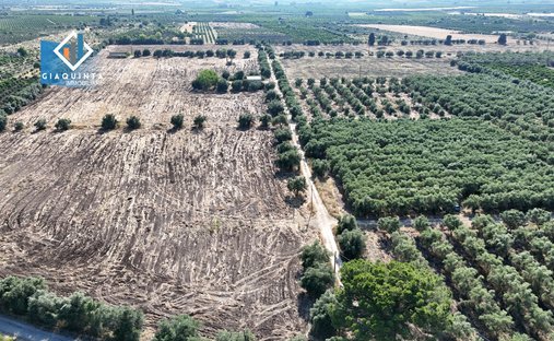 Land in Mineo, Sicily, Italy 1